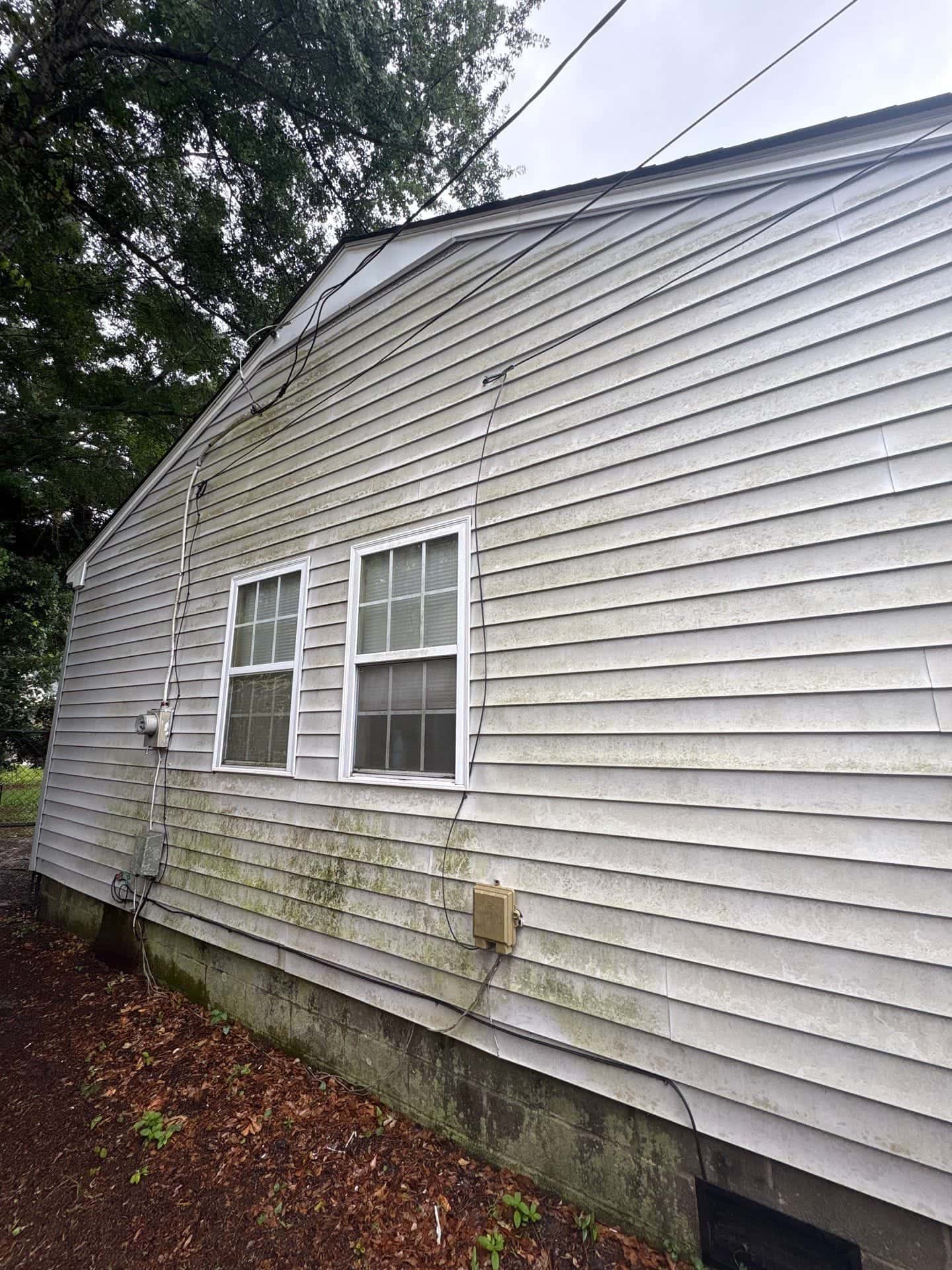 Before: House siding soft washing before and after in the Wilmington, NC area: green algae and grime removed from vinyl siding